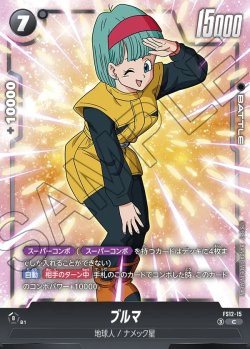 画像1: ブルマ[DBF_FS12-15 _C]