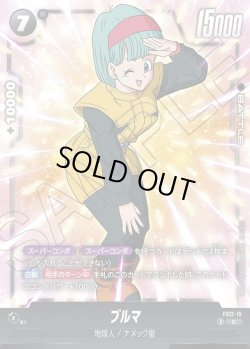 画像1: ブルマ[DBF_FS12-15 _C]