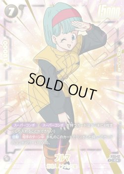 画像1: 【パラレル仕様】ブルマ[DBF_FS12-15 _C]