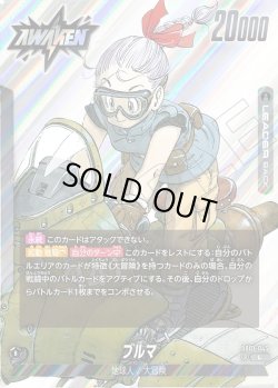 画像2: ブルマ[DBF_SB01-045_L]