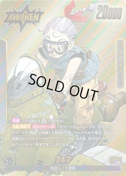 画像1: 【パラレル仕様】ブルマ[DBF_SB01-045_L]