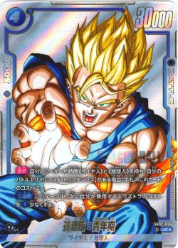 画像1: 【パラレル仕様】孫悟飯:青年期[DBF_SB02-026_UC]