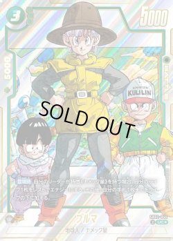 画像1: 【パラレル仕様】ブルマ[DBF_SB02-044_UC]