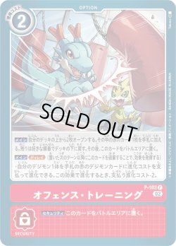 画像1: オフェンス・トレーニング[DC_P-103_P]【AD-01収録】