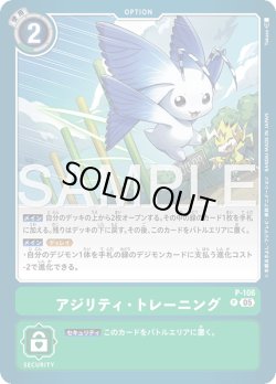 画像1: アジリティ・トレーニング[DC_P-106_P]【AD-01収録】