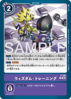 画像1: 【再録】ウィズダム・トレーニング[DC_P-108_P]【AD-01収録】