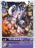 【イラスト違い仕様プロモ】ワーガルルモン[BT2-078C]『1周年記念アドベンチャーパック』