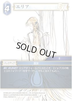 画像1: ★プレミアム★エリア[FF_5-123H]