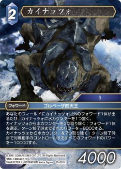 画像1: ★プレミアム★カイナッツォ[FF_13-091H]