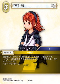 画像1: ★プレミアム★空手家[FF_25-058C]