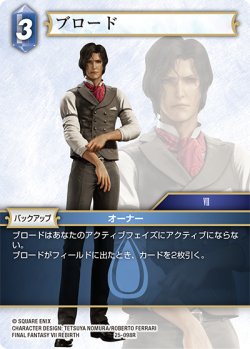 画像1: ★プレミアム★ブロード[FF_25-098R]