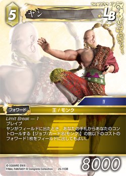 画像1: ★プレミアム★ヤン[FF_25-113R]