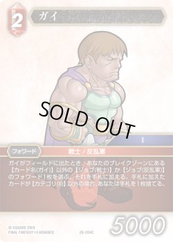 画像1: ★プレミアム★ガイ[FF_28-004_C]