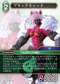 画像1: ブラックキャット[FF_28-051_R]
