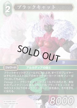 画像1: ★プレミアム★ブラックキャット[FF_28-051_R]