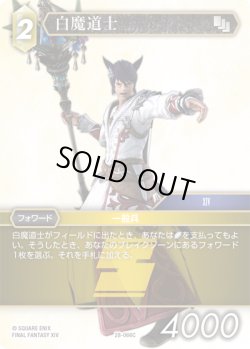 画像1: 白魔導士[FF_28-066_C]