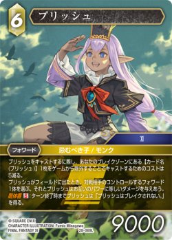 画像1: プリッシュ[FF_28-069_L]