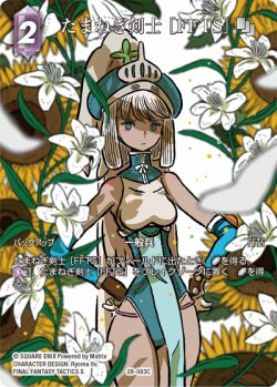 画像1: 【フレームレスプレミアム】たまねぎ剣士 [FFTS][FF_28-083_C]