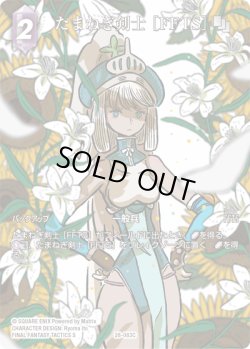 画像1: 【フレームレスプレミアム】たまねぎ剣士 [FFTS][FF_28-083_C]