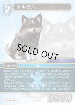 画像1: ★プレミアム★トルガル[FF_29-035_H]