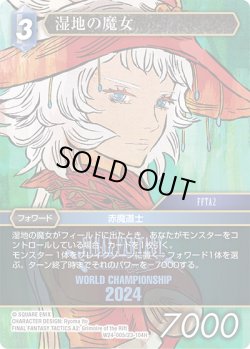 画像1: 湿地の魔女[FF_W24-005/23-104_H]