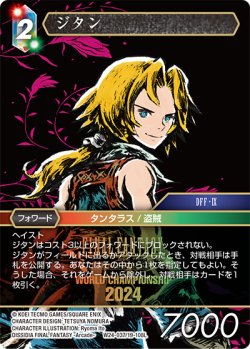 画像1: ジタン[FF_W24-037/19-108_L]