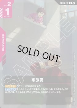 画像1: 家族愛[GCG_GD06-110_R(2)]