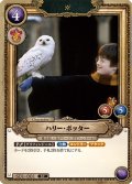 ハリー・ポッター[HP_S01_001_ST]