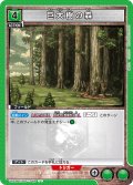 巨大樹の森［UA23BT/AOT-1-062_U］【UA23BT/AOT収録】