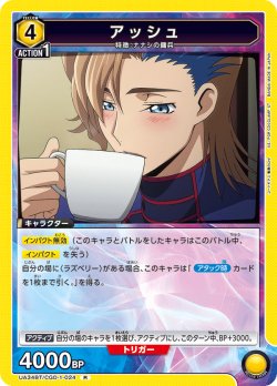 画像1: アッシュ[UA_UA34BT/CGD-1-024_R]【UA34BT/CGD収録】