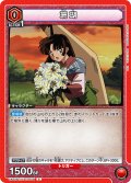 珊瑚[UA_UA50BT/IYS-1-056_C]