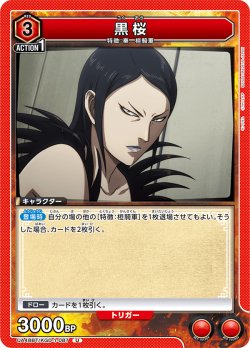 画像1: 黒桜[UA_UA48BT/KGD-1-087_U]