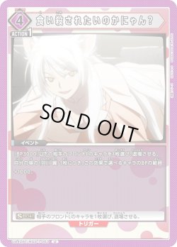 画像1: 食い殺されたいのかにゃん？[UA_UA42BT/MGS-1-063_U]【UA42BT/MGS収録】