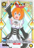 【星1パラレル】ペトラ・レイテ[UA_UA40BT/REZ-1-005_C]【UA40BT/REZ収録】