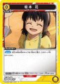 坂本 花[UA_UA43BT/SMD-1-027_C]