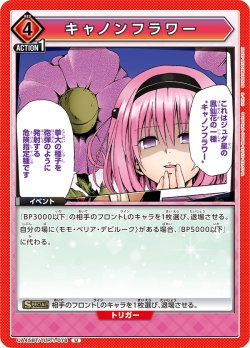 画像1: キャノンフラワー[UA_UA45BT/TLR-1-078_U]