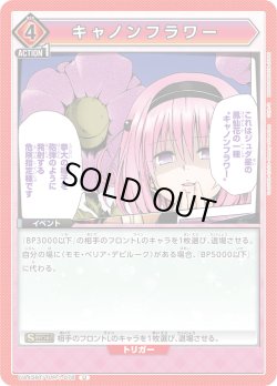 画像1: キャノンフラワー[UA_UA45BT/TLR-1-078_U]