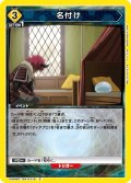 名付け[UA_EX09BT/TSK-2-012_C]【EX09BT/TSK収録】