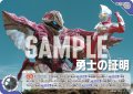 勇士の証明[UCG_BP06-101_U]