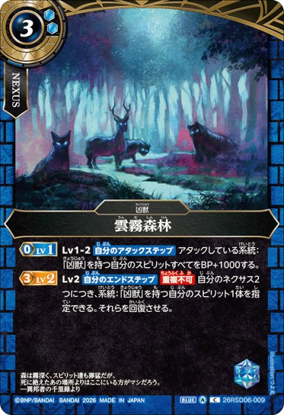 画像1: 雲霧森林[BS_26RSD06-009_C]【26RSD06収録】 (1)