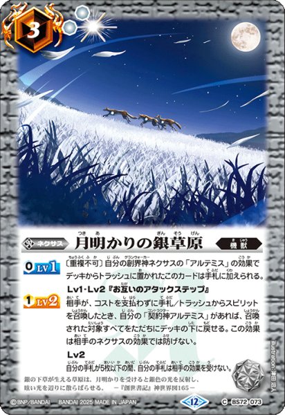 画像1: 月明かりの銀草原[BS_BS72_073_C]【BS72収録】 (1)