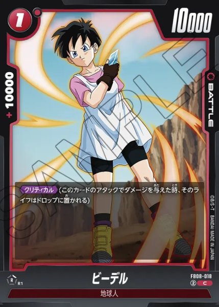 画像1: ビーデル[DBF_FB08-018_C] (1)