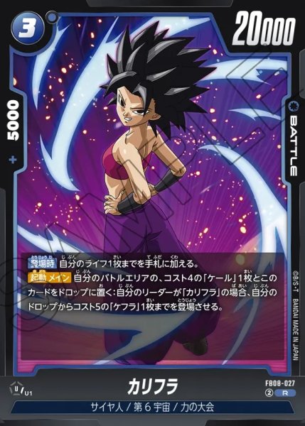 画像1: カリフラ[DBF_FB08-027_R] (1)