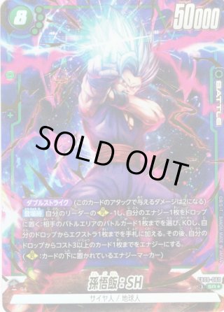 FB09 DUAL EVOLUTION - マスターズスクウェア通販2号店
