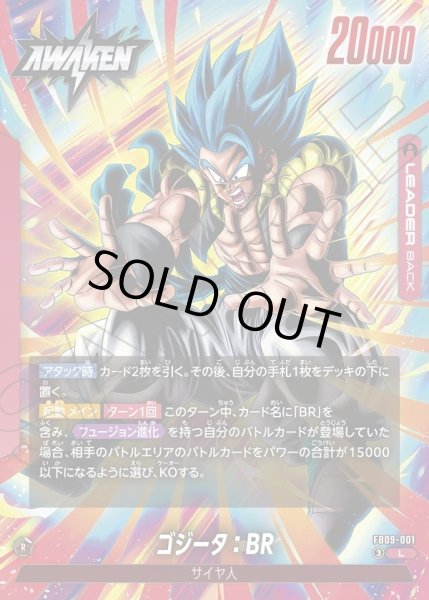 画像2: ゴジータ：BR[DBF_FB09-001_L] (2)