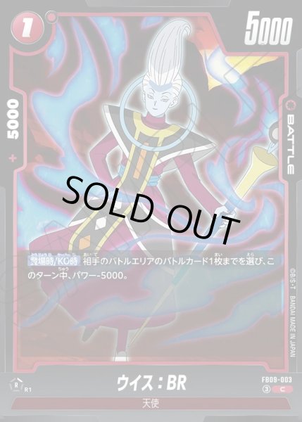 画像1: ウイス：BR[DBF_FB09-003_C] (1)