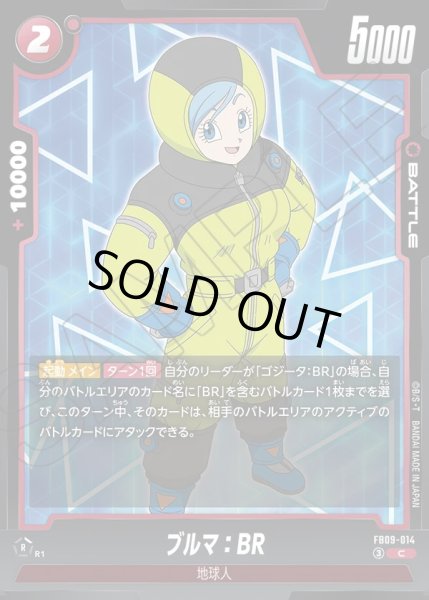 画像1: ブルマ：BR[DBF_FB09-014_C] (1)