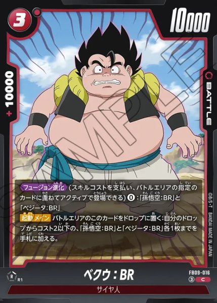 画像1: ベクウ：BR[DBF_FB09-016_C] (1)