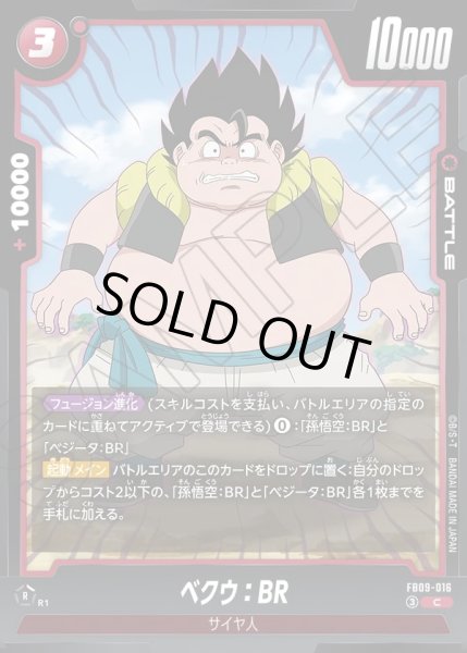 画像1: ベクウ：BR[DBF_FB09-016_C] (1)