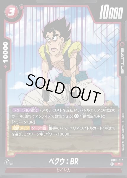 画像1: ベクウ：BR[DBF_FB09-017_C] (1)